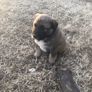 Meet your Posher, Whitney